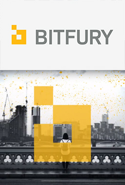 Introducing Bitfury